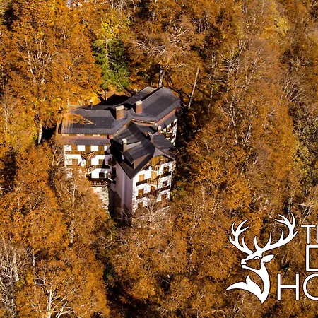 Le Nel Bosco Apartament