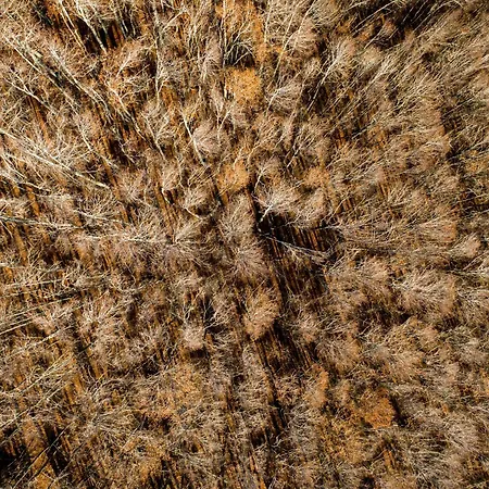 Le Nel Bosco Apartament *