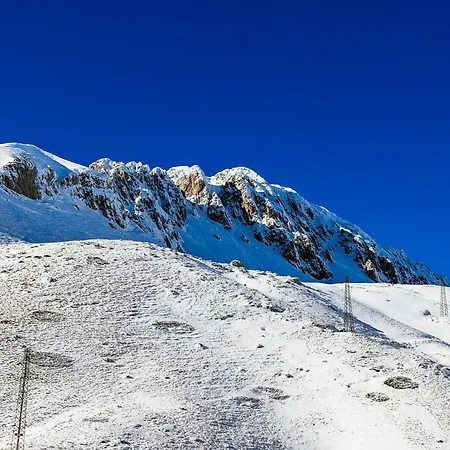 Le Nel Bosco تيرمينيلو