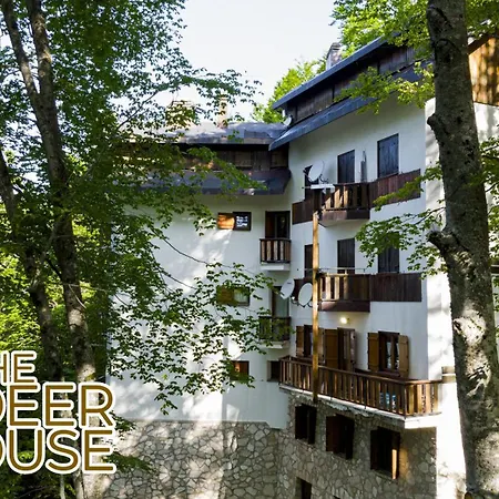 Apartament Le Nel Bosco *