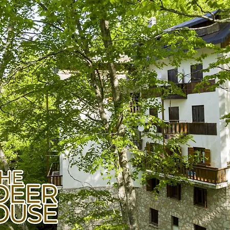 Le Nel Bosco Apartment *