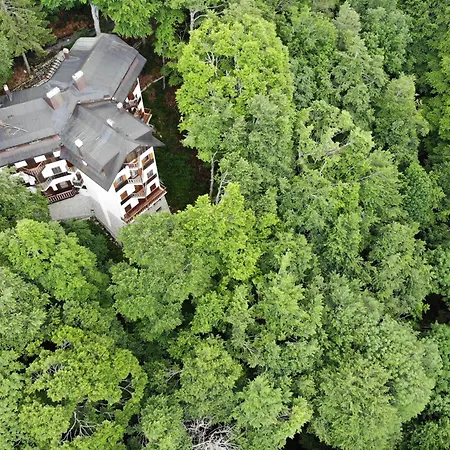 Le Nel Bosco Apartment Monte Terminillo