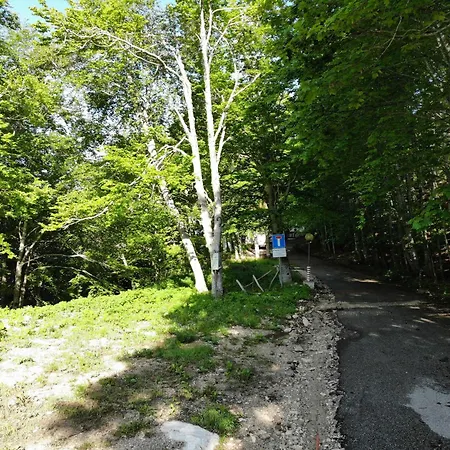 Le Nel Bosco Monte Terminillo