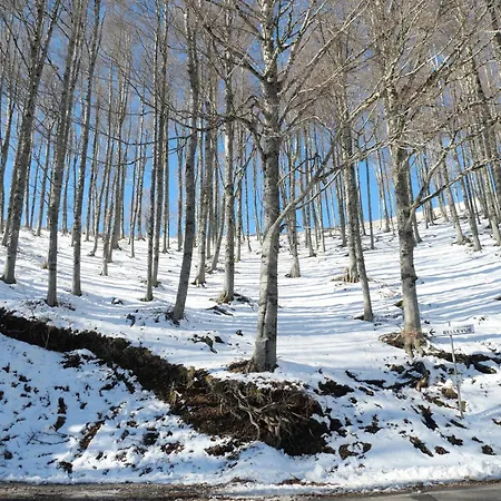 Le Nel Bosco * Terminillo