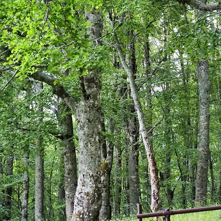 Apartment Le Nel Bosco *