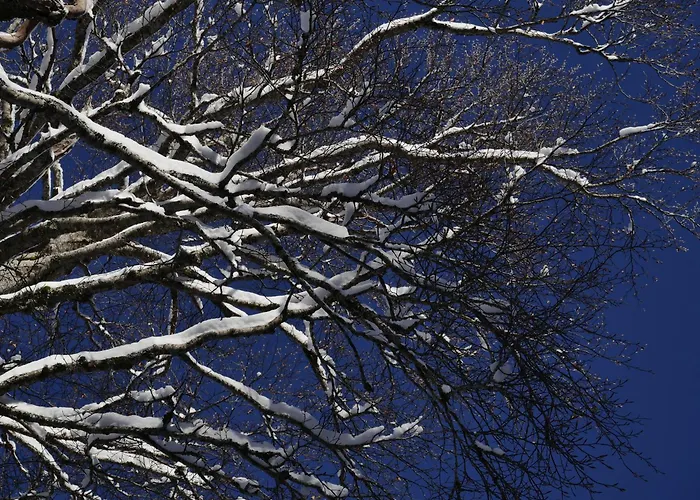 דירה Le Nel Bosco