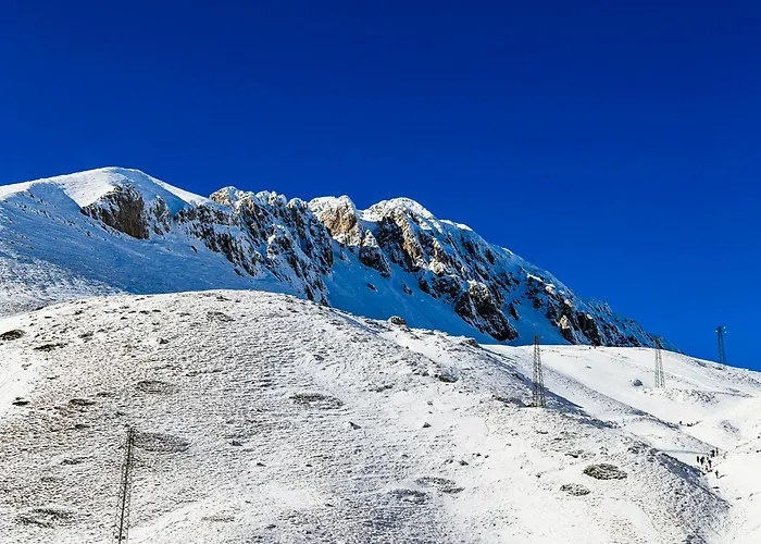 Le Nel Bosco טרמינילו